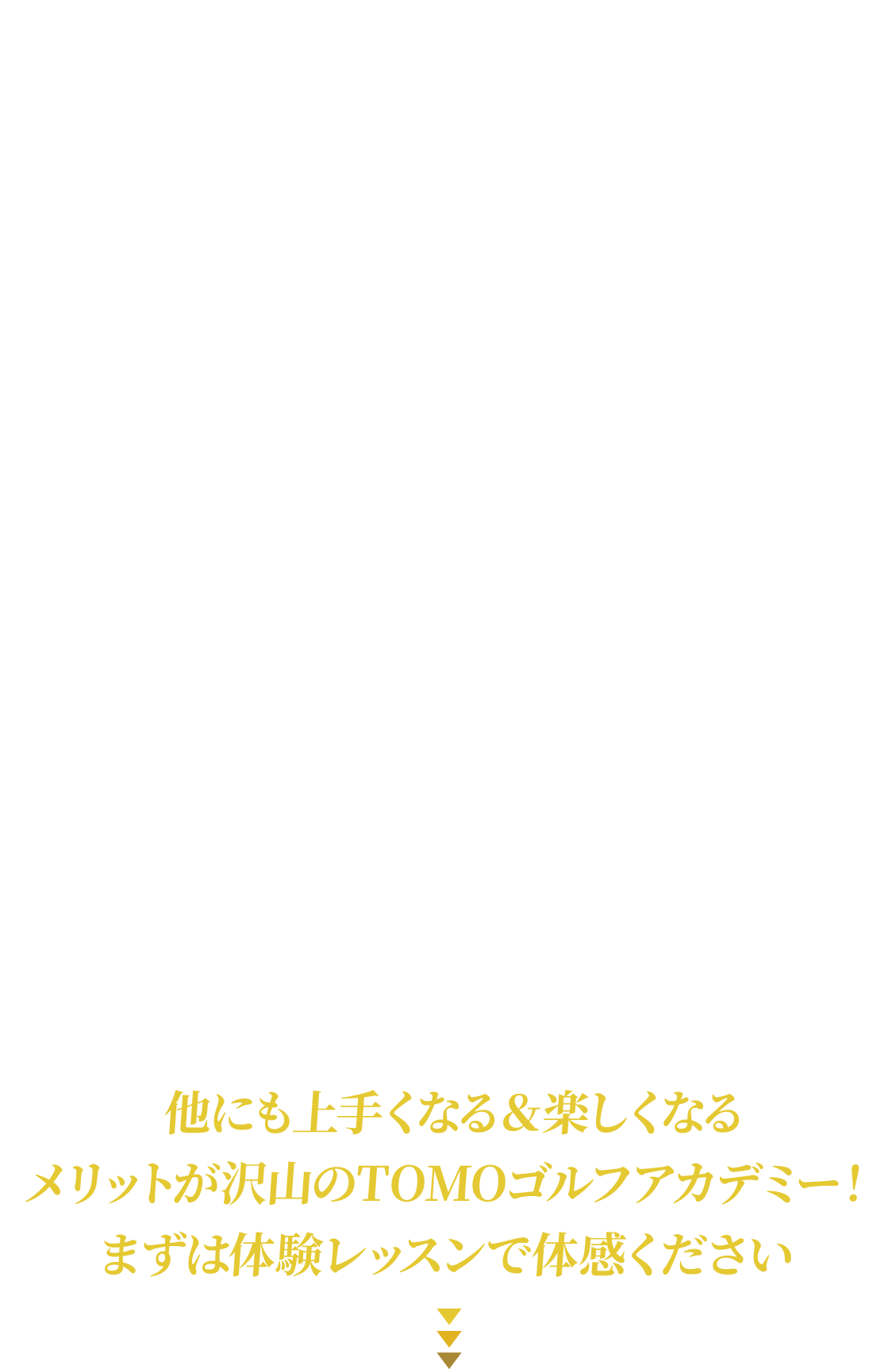 シミュレーター